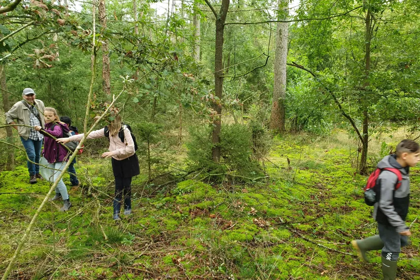 bos natuurlijk scaled