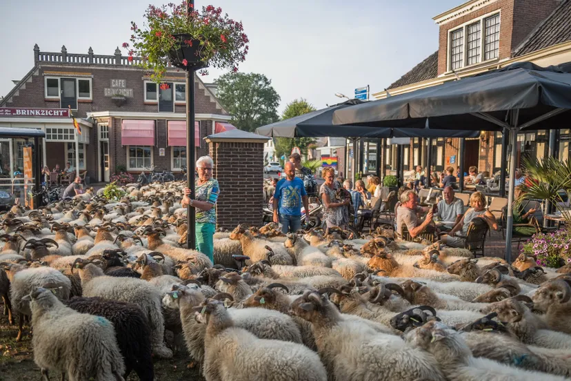 brinkfestijn ruinen12 jans schulting