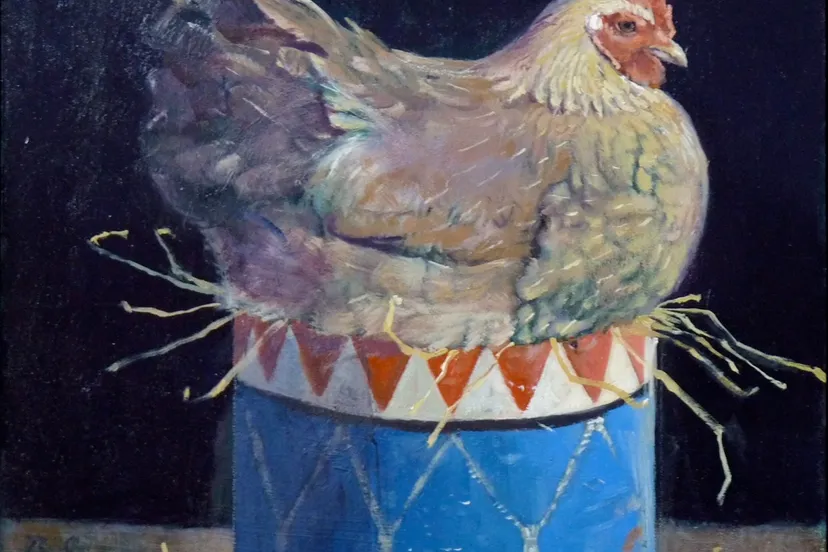 broedend kipje robin darcy shillcock