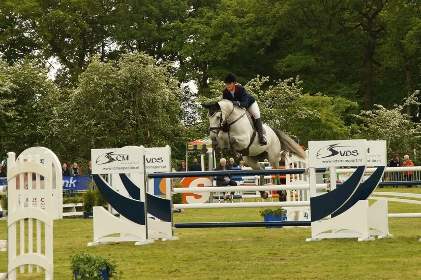 ch de wijk voor 2018