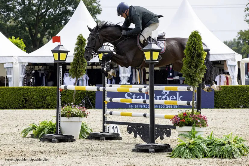 ch zoer albert ch de wolden winnaar zesjarigen norjado m foto jeroen spoolder