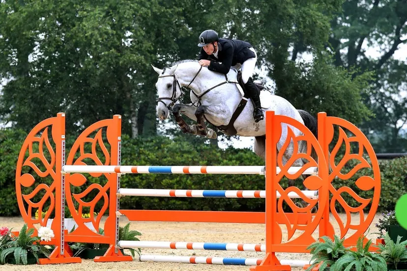 charlie duurste paard