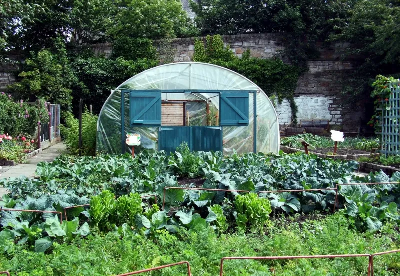 chatirygirl foter cc by nd