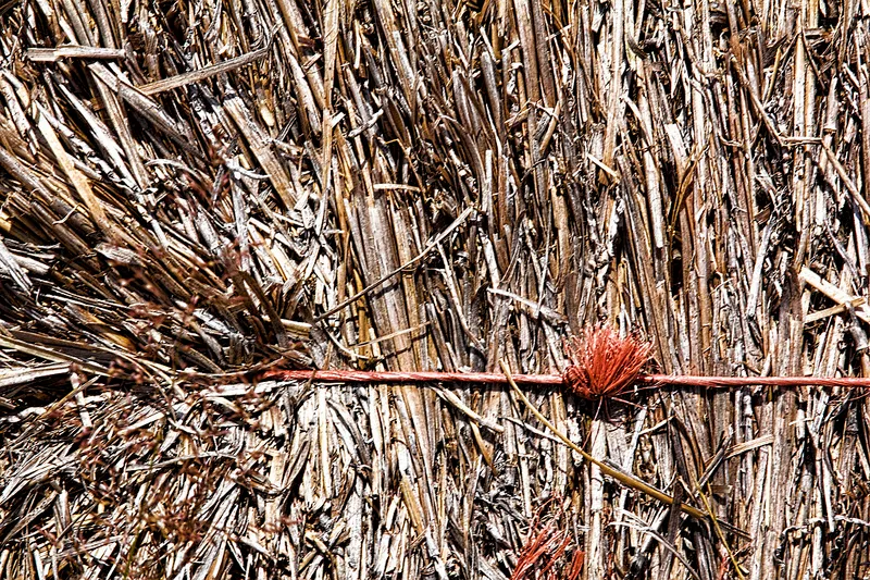 chefranden foter cc by