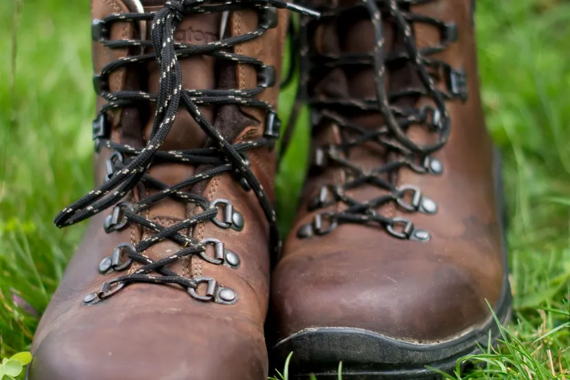 cobaltfish foter cc by sa