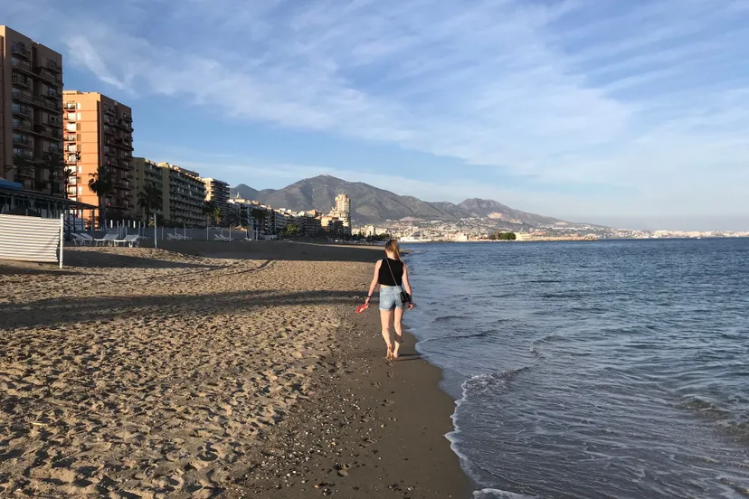 column prijsvechter2