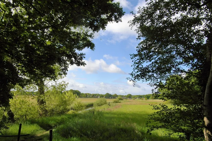dauwtrappen reestdal de wijk