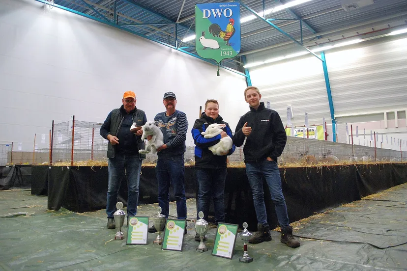 de wijk dwo de wijk 4 1