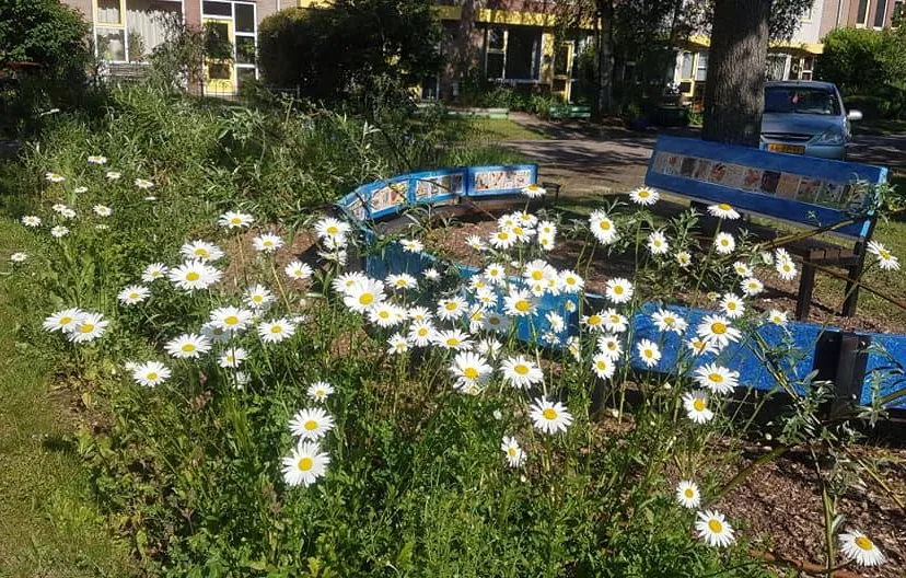 de wijk tuin margrieten kindertheater