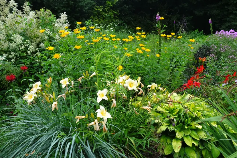 dedemsvaart tuinen mien ruys2 foto caroline hendriksen scaled