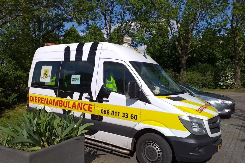 dierenambulance