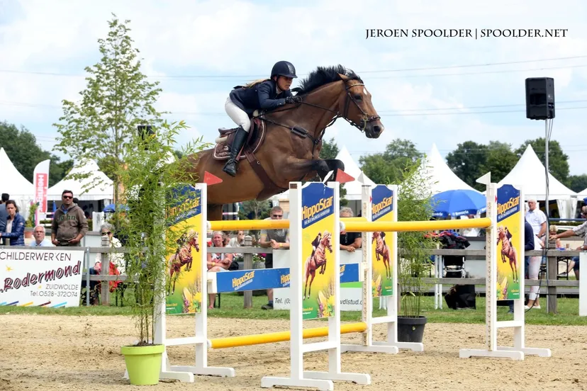 don2 05 bork sloopwerken prijs van rijswijk actiefoto medium