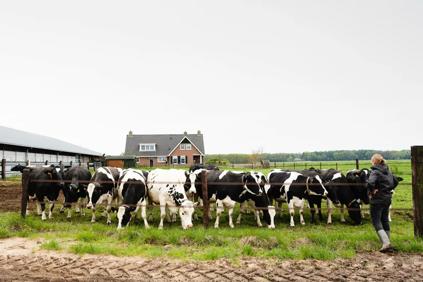 dorien benning de boer op scaled