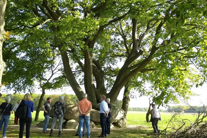 dr excursie hunebedden foto marysia wilczewska het drentse landschap 1