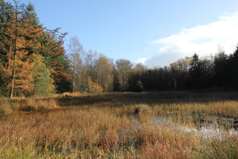 dr het westersche veld van rolde foto het drentse landschap paulien zomer 1