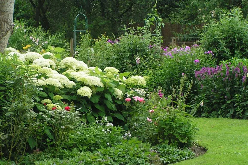 dr tuin irene brave 2