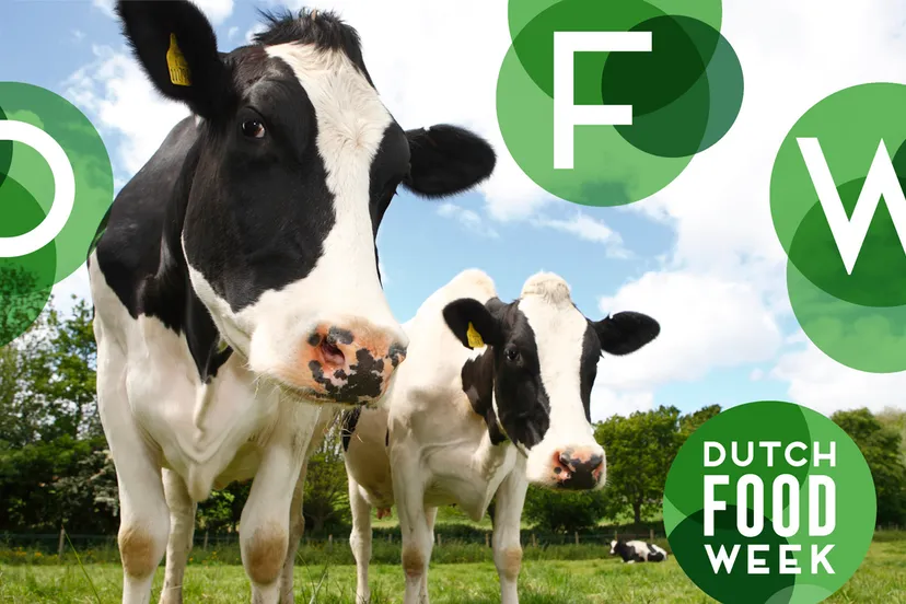 drenthe dutch foodweek