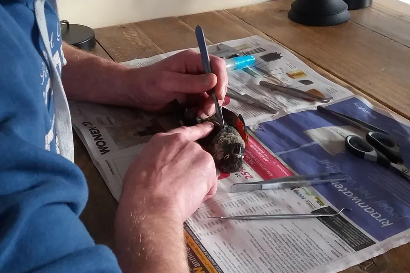 drfrw karst aan het werk 2