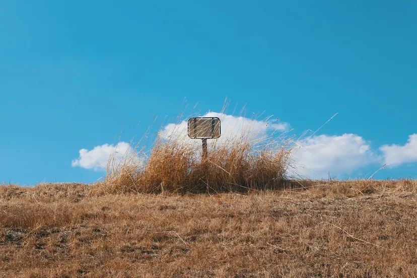 droge dijk3 zomer 2018