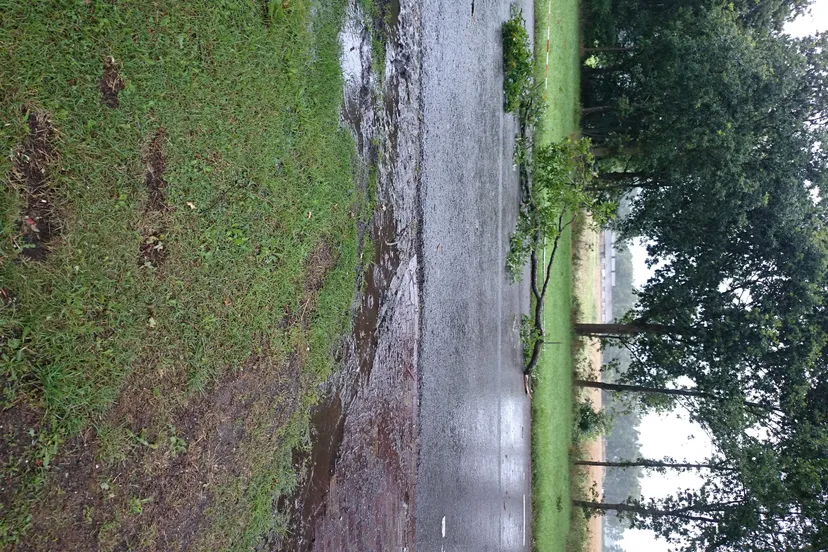 dsc 0289 e1437862859260