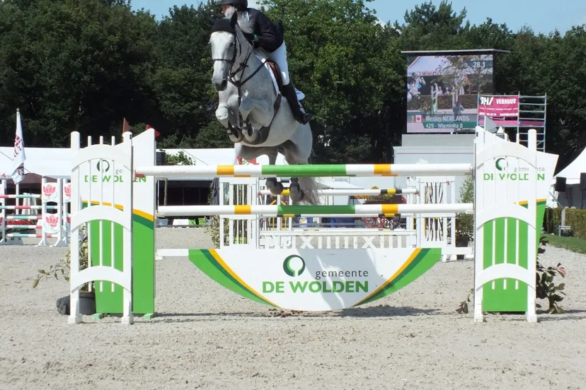 dscf2870 medium kopie