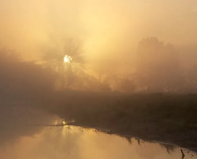 dwingelderveld anneke hooijer