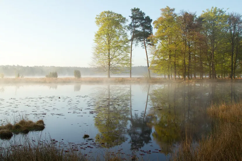 dwingelderveld kibbelhoek en holtveenslenk erik bethlehem1 verkleinde versie