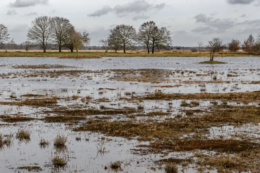 dwingelderveld nat fietspad