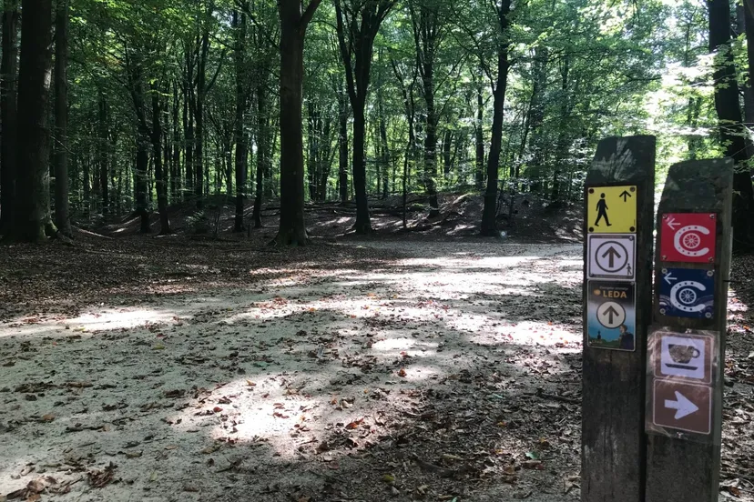 dwingeloo ommetje leda