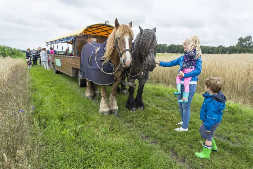 dwinveld huifkartocht dwingelderveld essen andries de la lande cremer