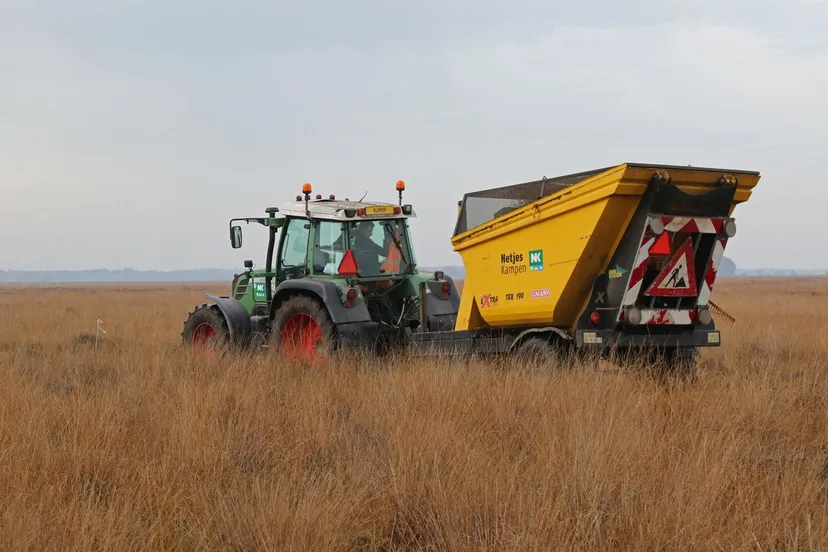 dwveld ej9a2291ahenckel