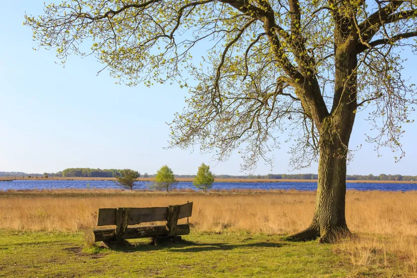 dwveld vennen en veentjes geurt besselink namo74393 1