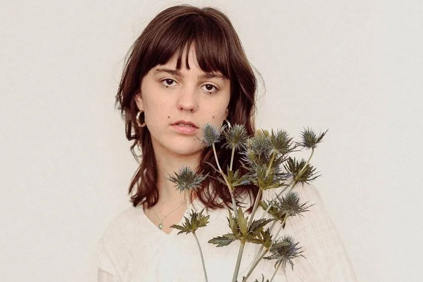 echten daisy bellis 2