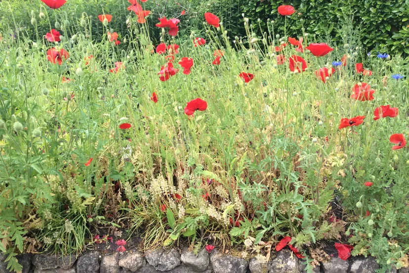 echten fieten tuin keramiek