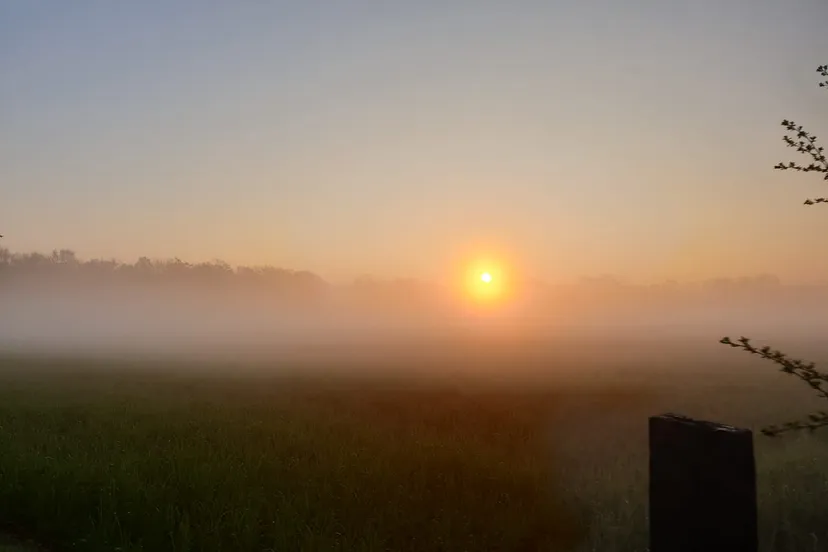 echten opkomende zon dauw