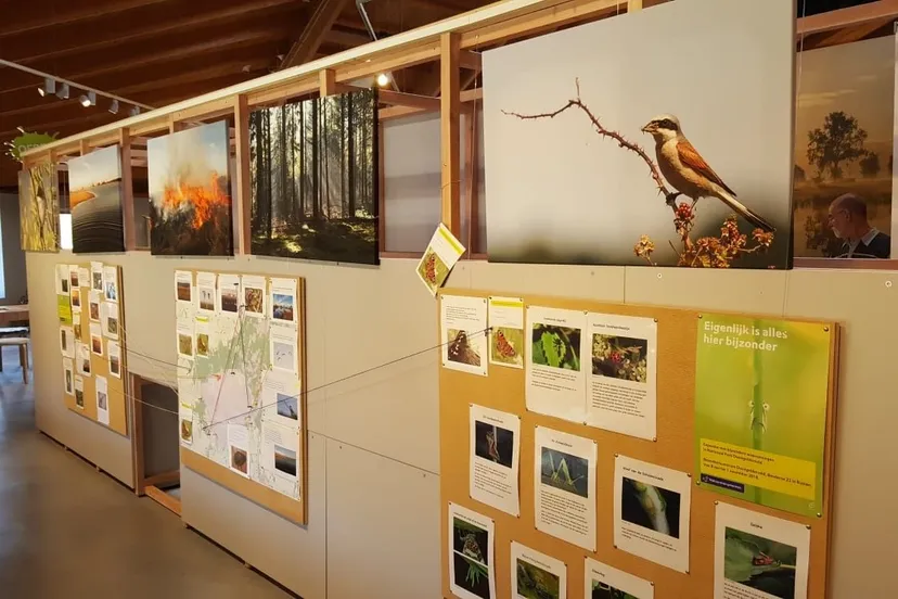 expositie eigenlijk is alles hier bijzonder