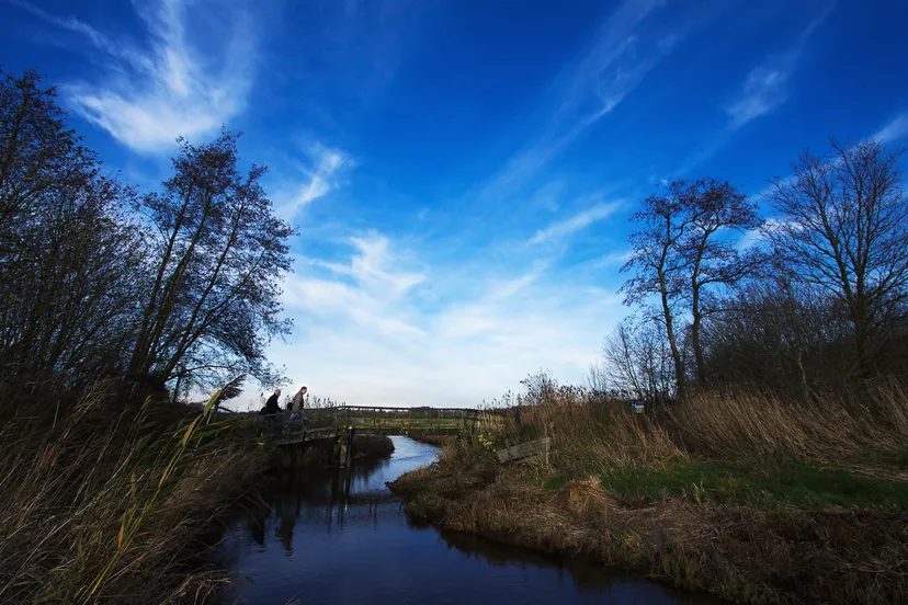 fcdw annekehooijer bruggetjeoverreest
