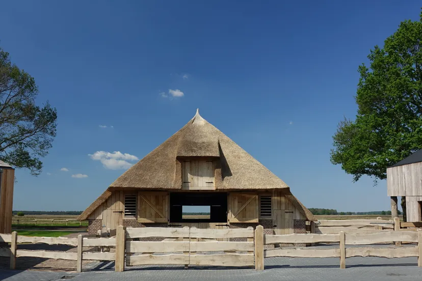 harry de vroome penning 2018 naar nieuwe schaapskooi ruinen