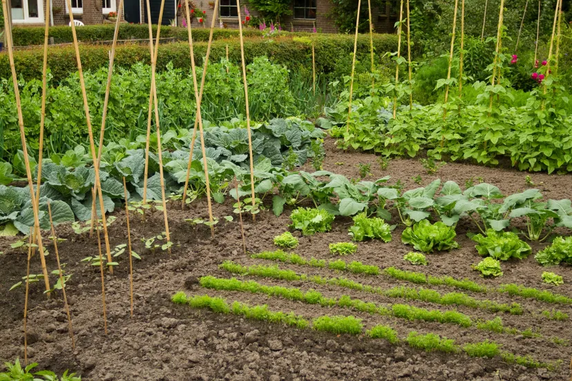 herenboeren het drentse landschap eric wanders