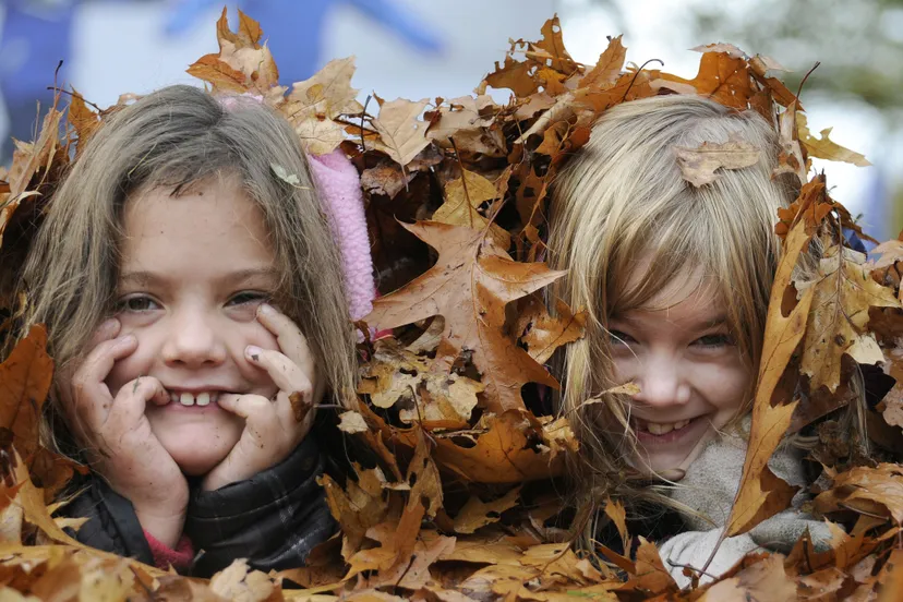 herfst bladeren pauline joosten