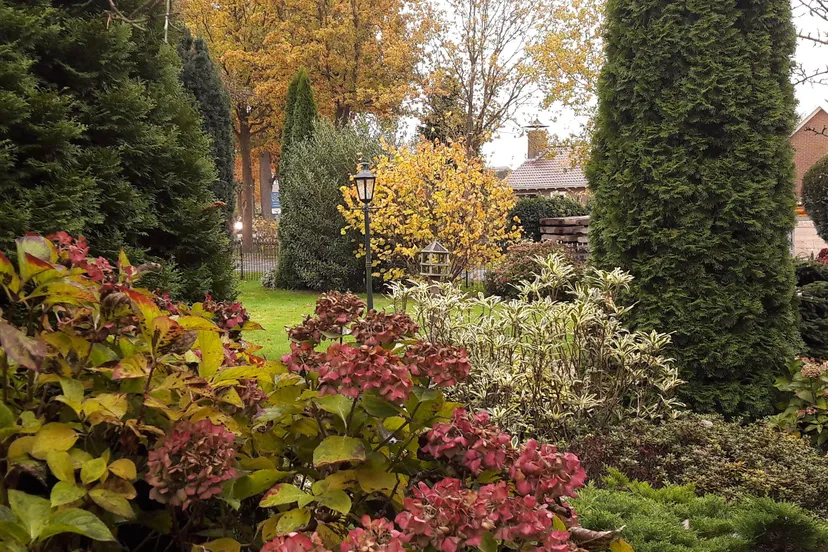 herfsttuin weerwille1