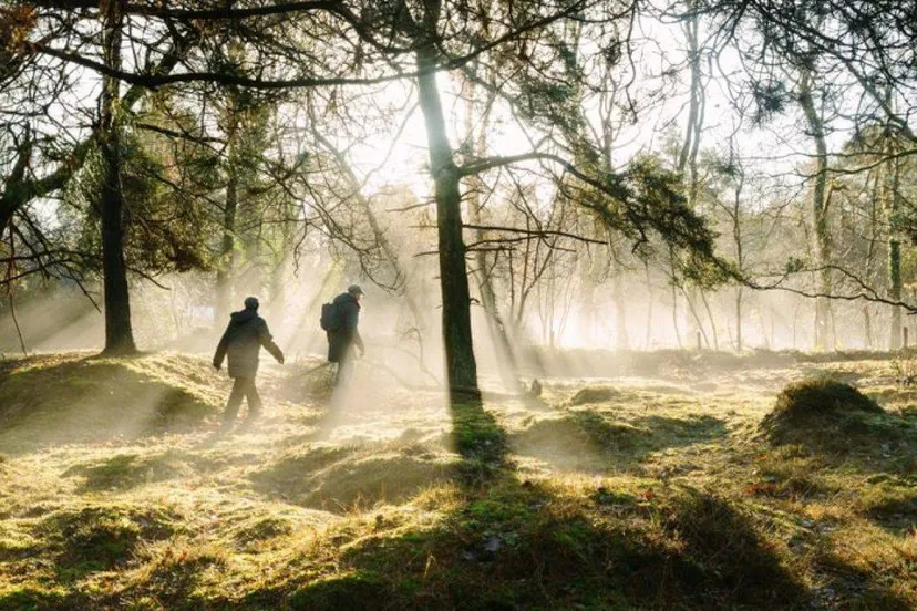 het koloniepad wandelen drenthe