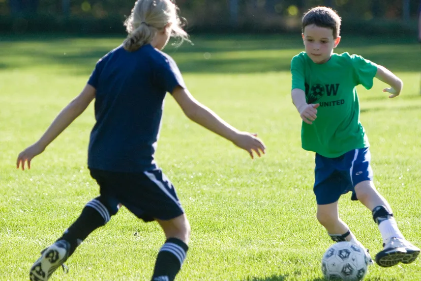 hipgriffin foter cc by