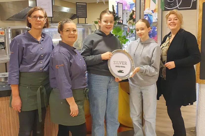 hoogeveen wolfsbos zilver