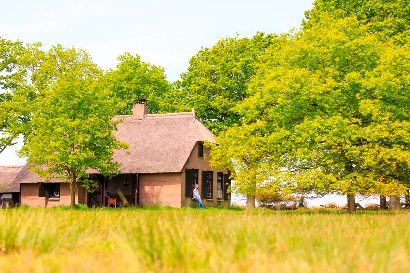 huisje benderse berg geurt besselink1