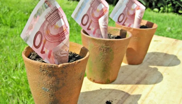 images of money foter cc by 715x408