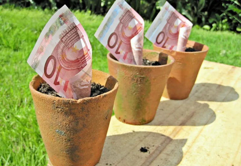 images of money foter cc by