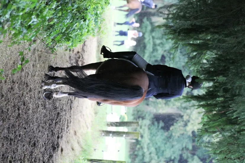 img 5552 e1446589505851