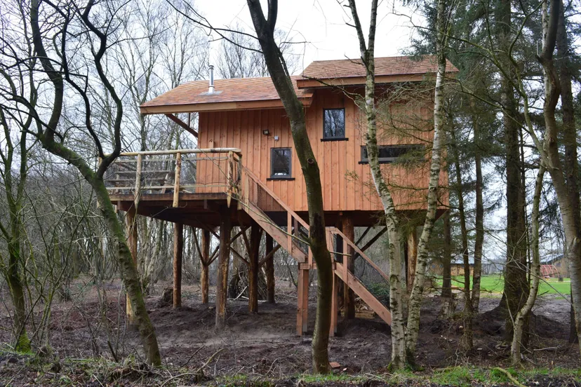 jan pn23012018 boomhut xxl landclub ruinen1