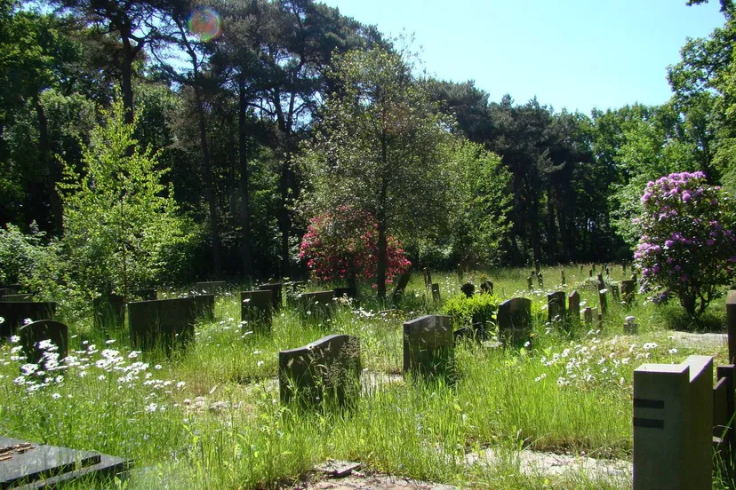 joop verburg voorzomerbloei op begraafplaats zuidwolde